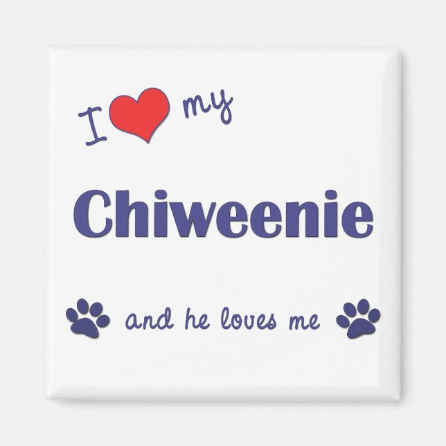 Imán Amo Mi Chiweenie (Perro Masculino) (Frente)