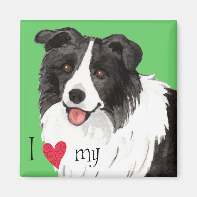 Imán Amo mi Collie Fronterizo (Frente)