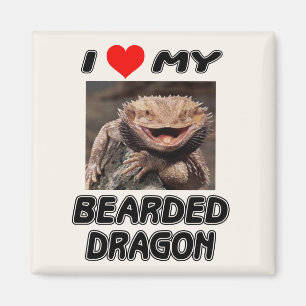 IMÁN AMO MI DRAGÓN BARBUDO - AÑADA SU PROPIA FOTO
