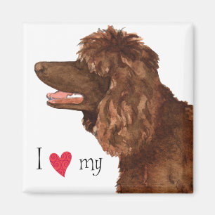 Imán Amo mi español irlandés del agua