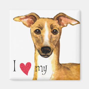 Imán Amo mi galgo italiano