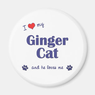 Imán Amo mi gato del jengibre (el gato masculino)