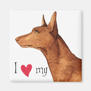 Imán Amo mi Hound de Faraón