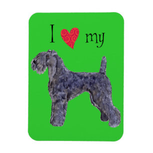 Imán Amo mi Kerry Blue Terrier