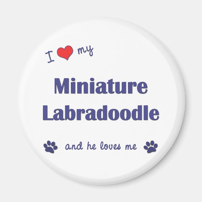 Imán Amo Mi Labradoodle Minorista (Perro Masculino) (Frente)