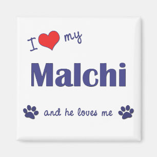 Imán Amo mi Malchi (el perro masculino)