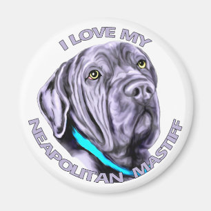 Imán Amo mi mastín napolitano