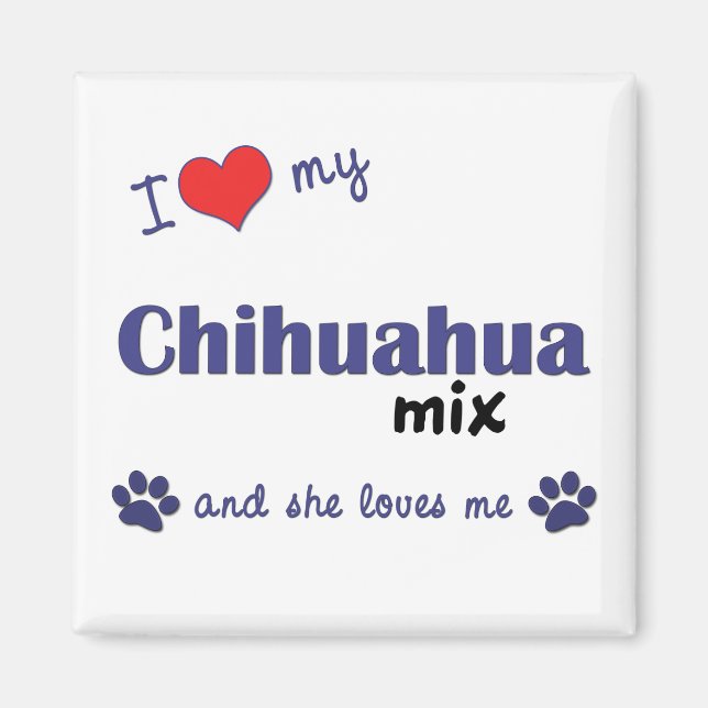 Imán Amo Mi Mezcla Chihuahua (Perro femenino) (Frente)