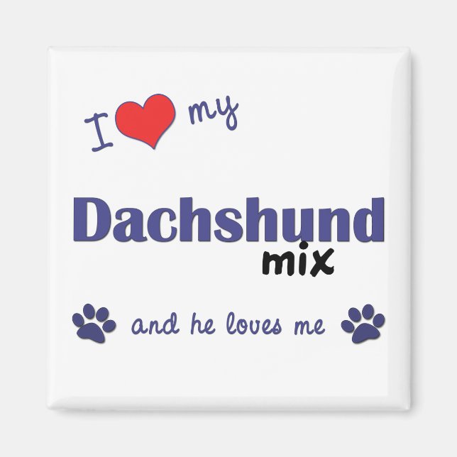 Imán Amo Mi Mezcla Dachshund (Perro Masculino) (Frente)