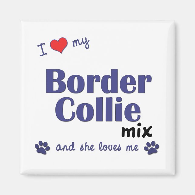 Imán Amo Mi Mezcla de Collie Fronteriza (Perro femenino (Frente)