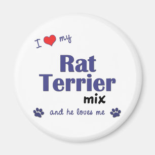 Imán Amo mi mezcla de Terrier de rata (el perro