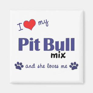 Imán Amo mi mezcla del pitbull (el perro femenino)