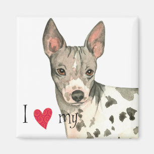 Imán Amo mi miedo sin pelo estadounidense