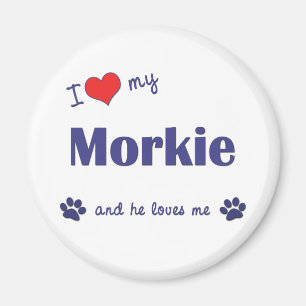 Imán Amo mi Morkie (el perro masculino)