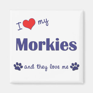 Imán Amo mi Morkies (los perros múltiples)