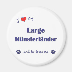 Imán Amo mi Munsterlander grande (el perro masculino)