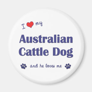 Imán Amo mi perro australiano del ganado (el perro