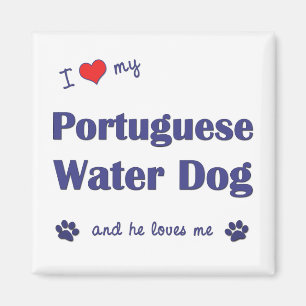 Imán Amo mi perro de agua portugués (el perro
