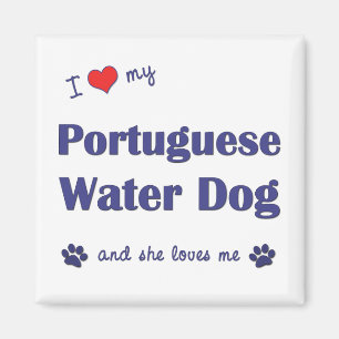 Imán Amo mi perro de agua portugués (el perro femenino