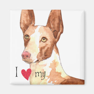 Imán Amo mi perro de Ibizan
