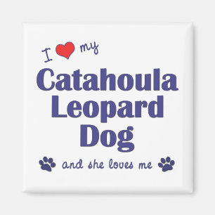 Imán Amo mi perro del leopardo de Catahoula (el perro