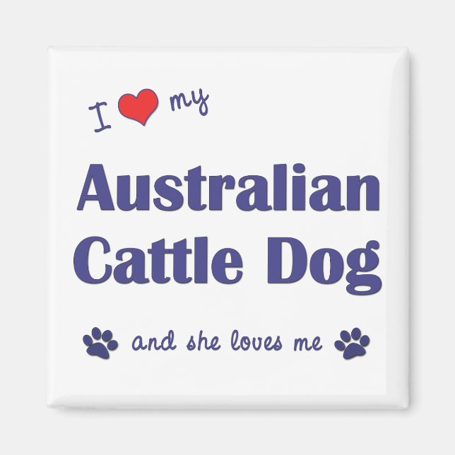 Imán Amo Mi Perro Ganado Australiano (Perro Femenino) (Frente)