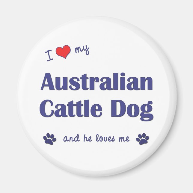 Imán Amo Mi Perro Ganado Australiano (Perro Masculino) (Frente)