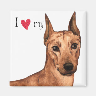 Imán Amo mi Pinscher alemán