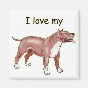 Imán Amo mi Pitbull