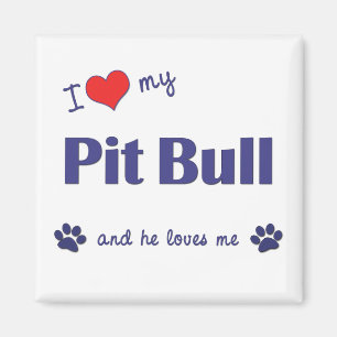 Imán Amo mi pitbull (el perro masculino)