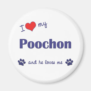 Imán Amo mi Poochon (el perro masculino)