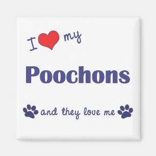 Imán Amo mi Poochons (los perros múltiples)