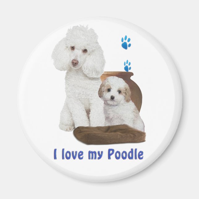 Imán Amo mi Poodle (Frente)