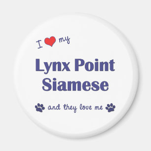 Imán Amo mi punto del lince siamés (los gatos