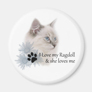 Imán Amo mi ragdoll