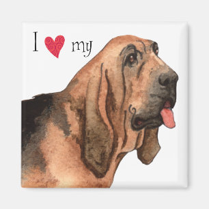 Imán Amo mi sabueso