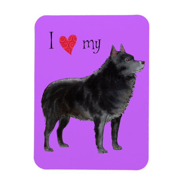 Imán Amo mi Schipperke (Vertical)