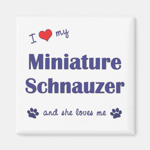 Imán Amo mi Schnauzer miniatura (el perro femenino)