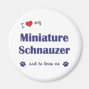 Imán Amo mi Schnauzer miniatura (el perro masculino)