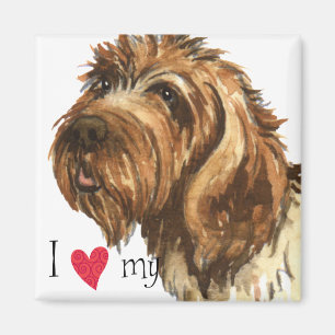 Imán Amo mi señalar Griffon Wirehaired
