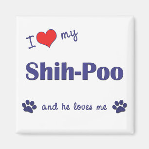 Imán Amo Mi Shih-Poo (Perro Masculino)