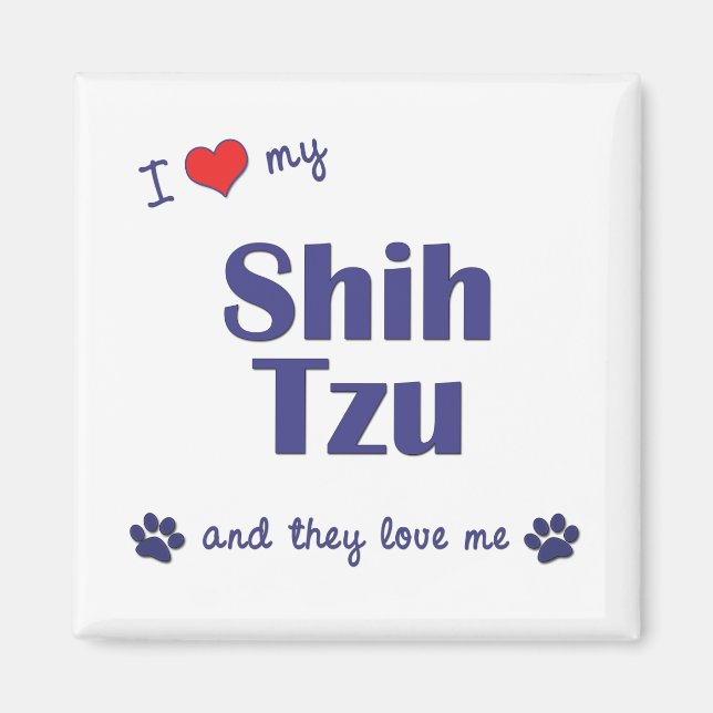 Imán Amo Mi Shih Tzu (Múltiples Perros) (Frente)
