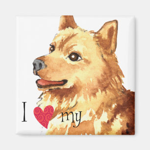 Imán Amo mi Spitz finlandés