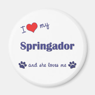 Imán Amo Mi Springador (Perro femenino)