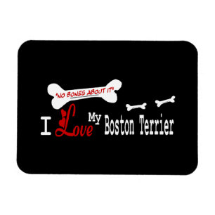 Imán Amo Mi Terrible Boston