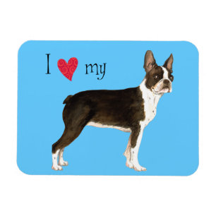 Imán Amo mi Terrier de Boston