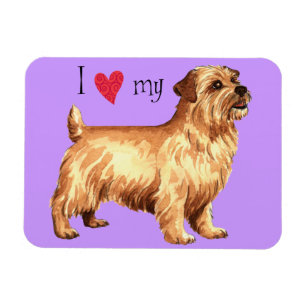 Imán Amo mi Terrier Norfolk