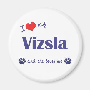 Imán Amo mi Vizsla (el perro femenino)