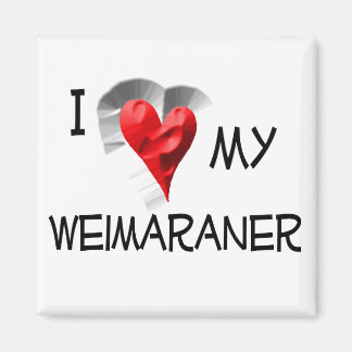 Imán Amo Mi Weimaraner