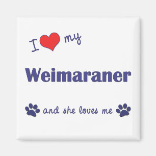 Imán Amo mi Weimaraner (el perro femenino)